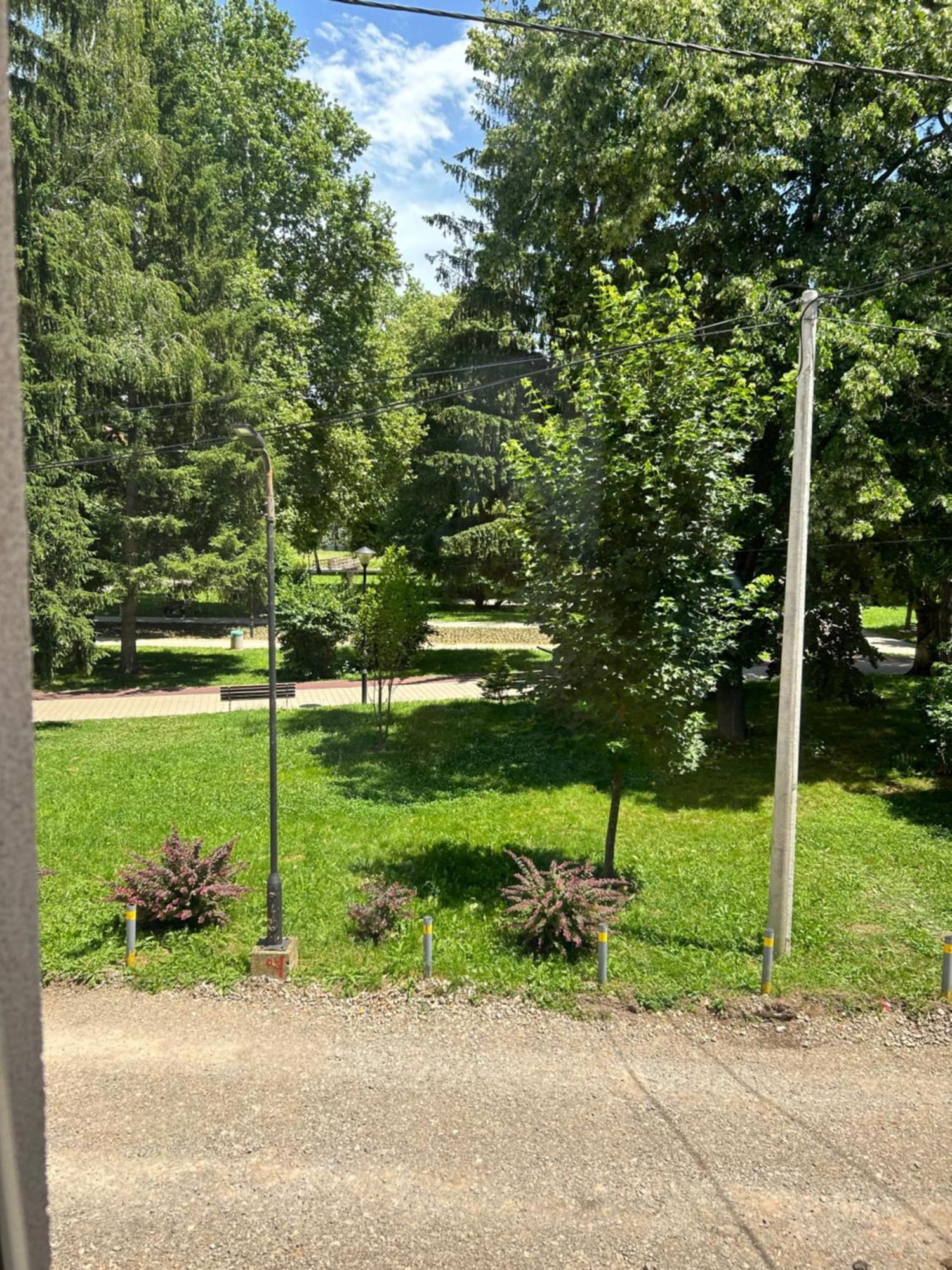 Vila Markovic-A Soko Banja Exterior photo